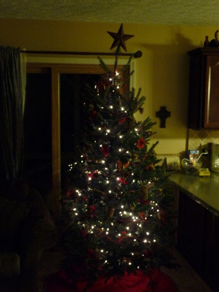 Our Tree 2.JPG